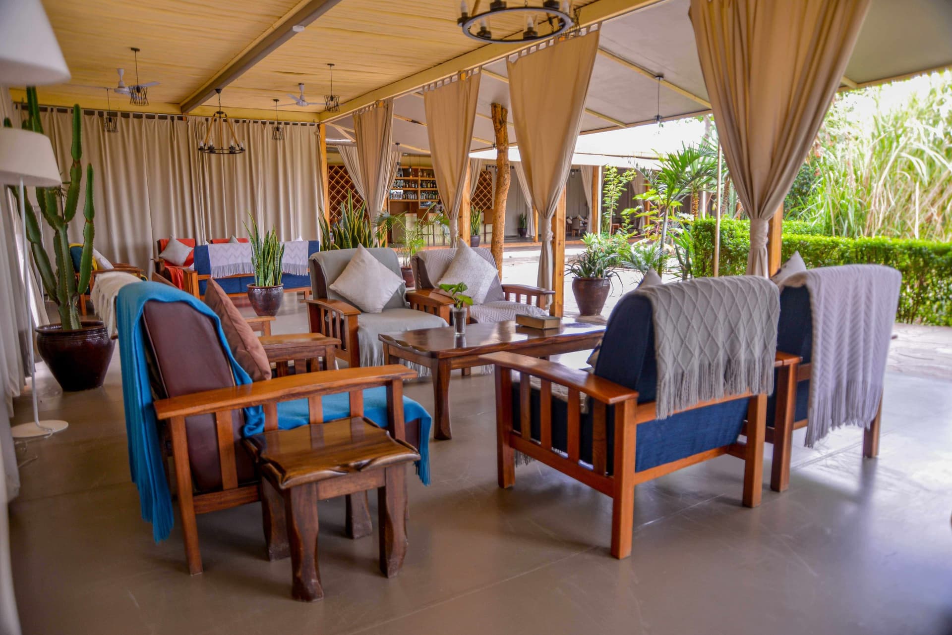 Zebra plains Mara Camp 3