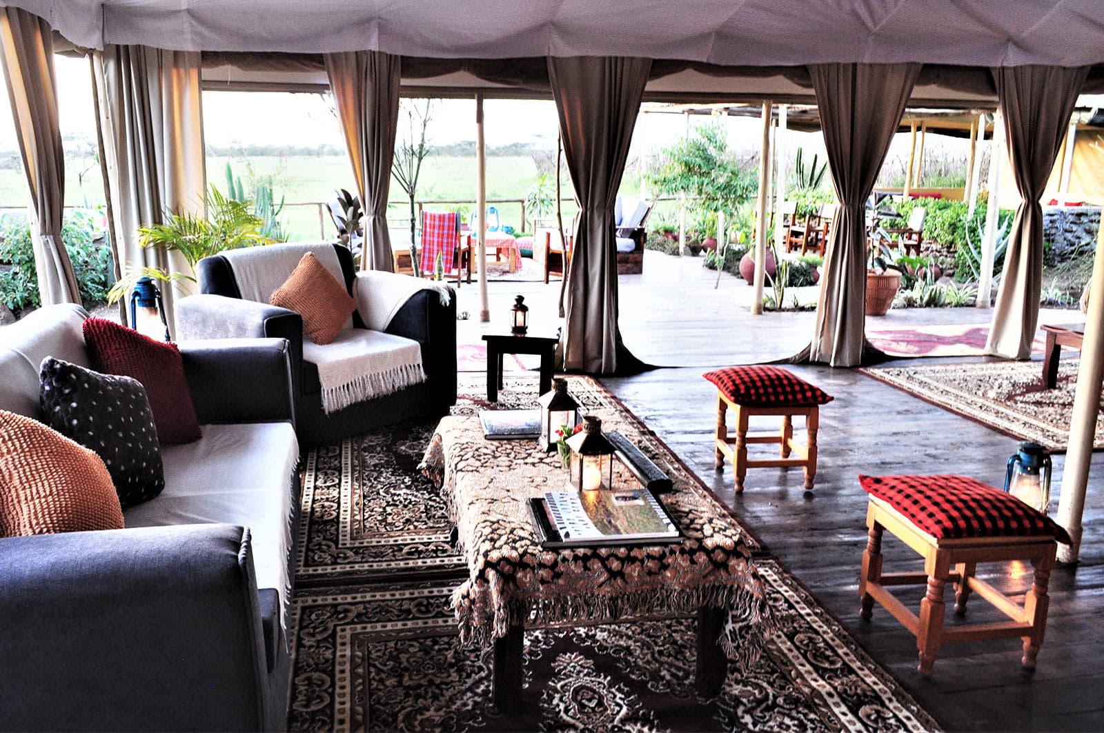 Zebra plains Mara Camp 4