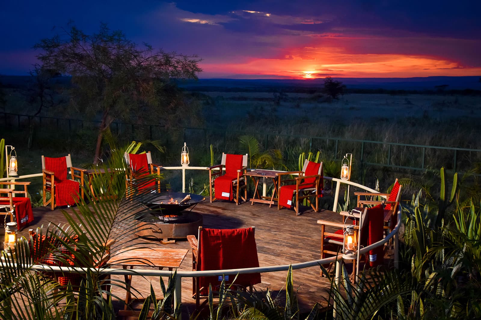 Zebra plains Mara Camp