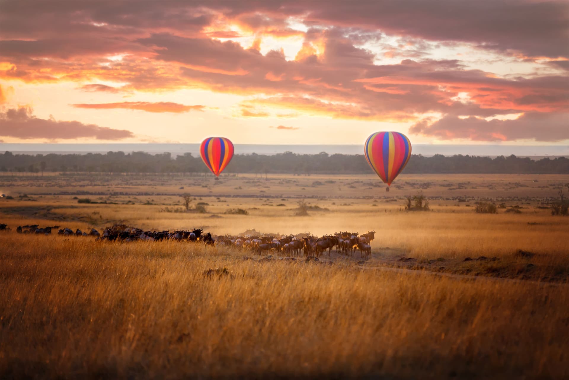 Masai Mara National Reserve